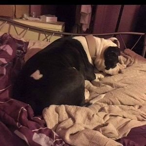 Meet your Posher, Chrystal